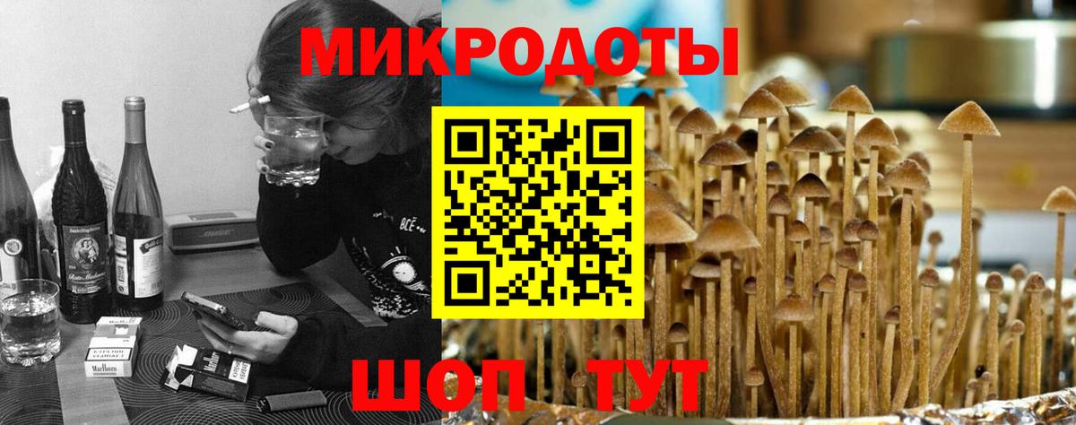 Псилоцибиновые грибы Psilocybine cubensis Черемхово