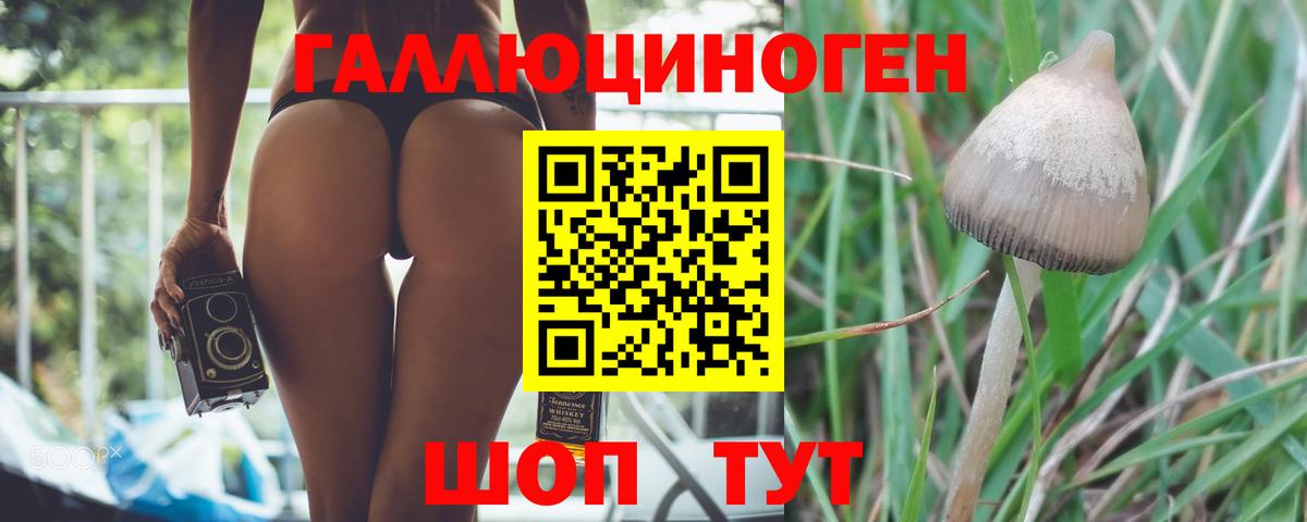 Черемхово  цена наркотик  Вход с VPN  Псилоцибиновые грибы Cubensis 